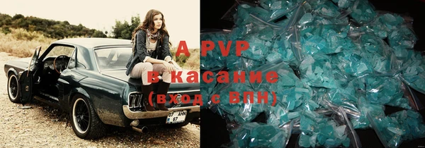 apvp Вяземский